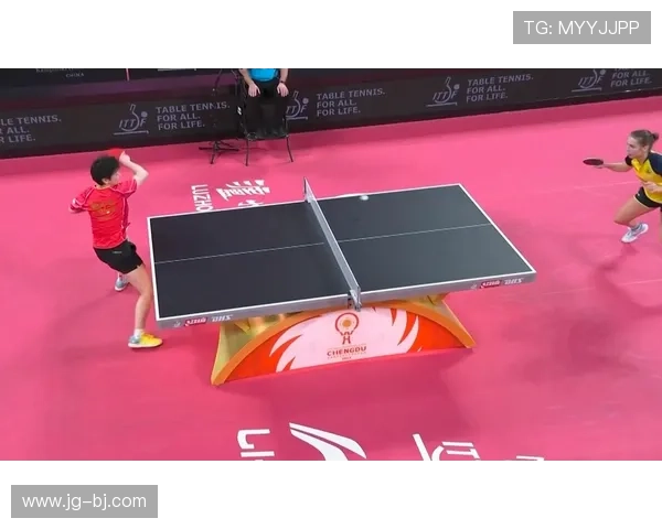 成都网球队在世界杯积分榜上以100分稳居第一名引发关注