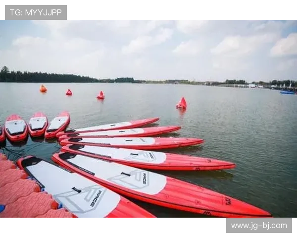 杭州排球队引领排球意识新潮流TOP10榜单揭晓